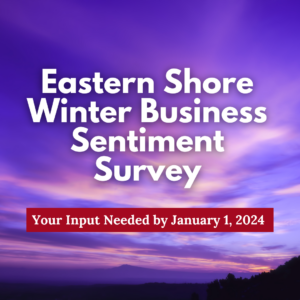 Business Sentiment Survey Winter 2023