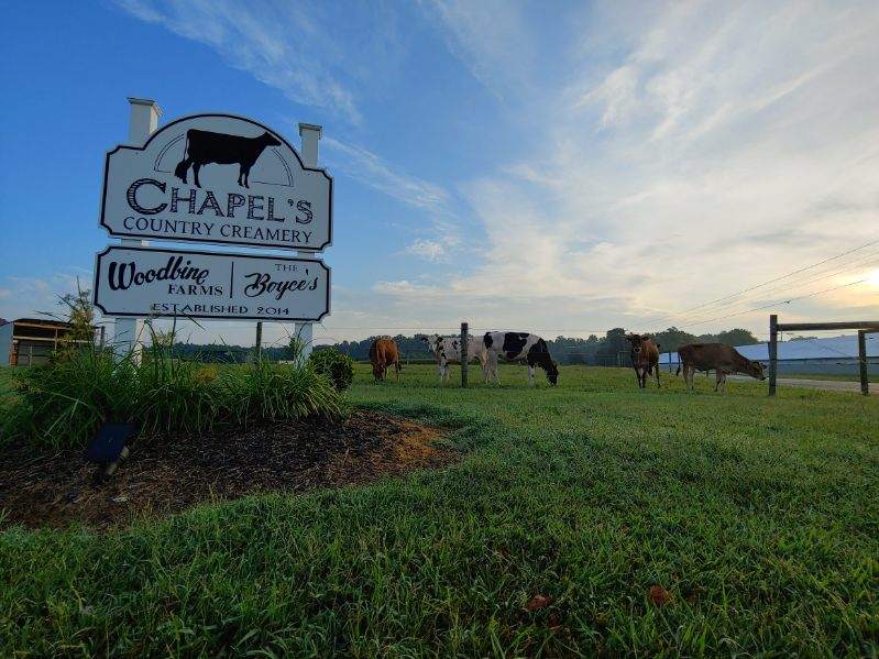 Chapel's Country Creamery